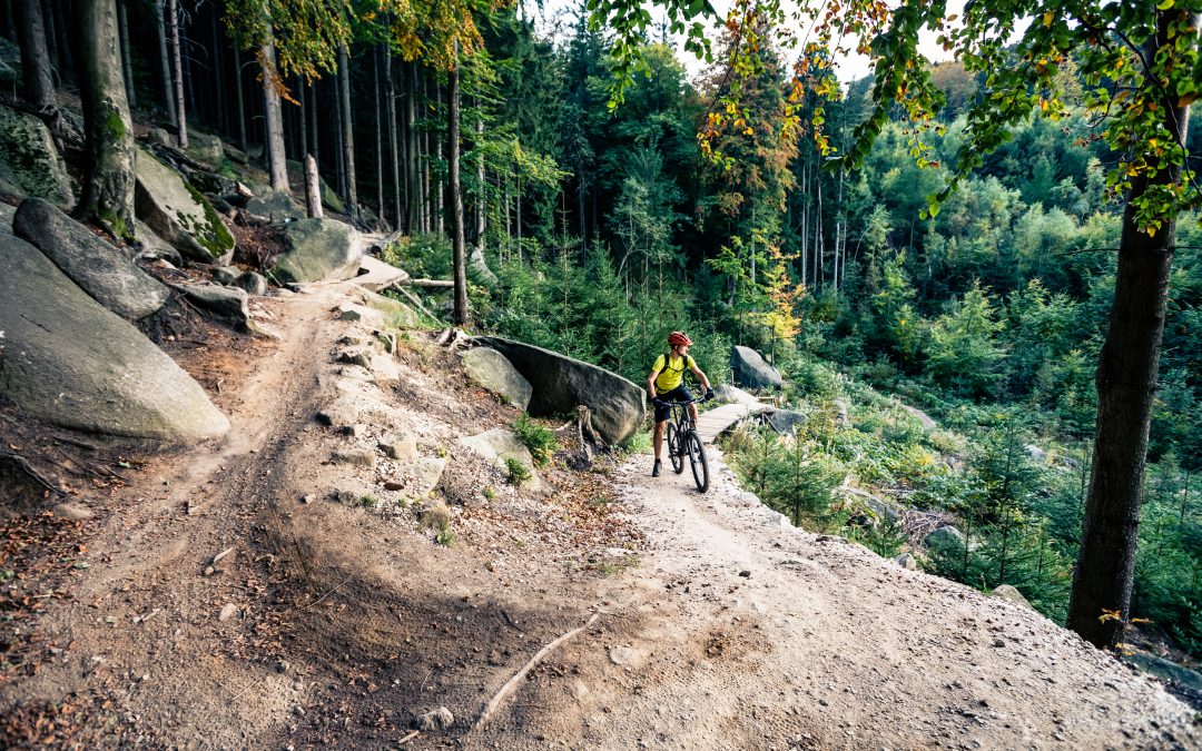 Where Rubber Meets Dirt: The Intricacies of Off-road Biking Trails