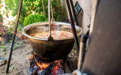 Camping Cookware Essentials: What You Need for Delicious Campfire Meals